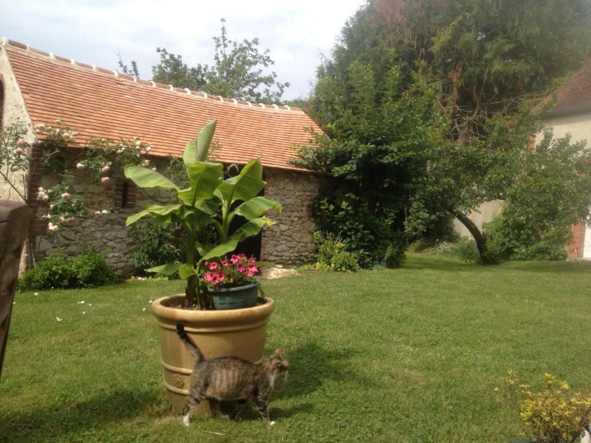 Moulin En Bord De Riviere - Logement Atypique Chevillon-sur-Huillard Exterior photo