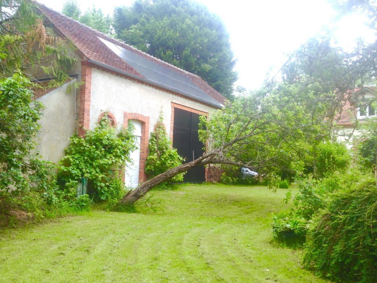 Moulin En Bord De Riviere - Logement Atypique Chevillon-sur-Huillard Exterior photo