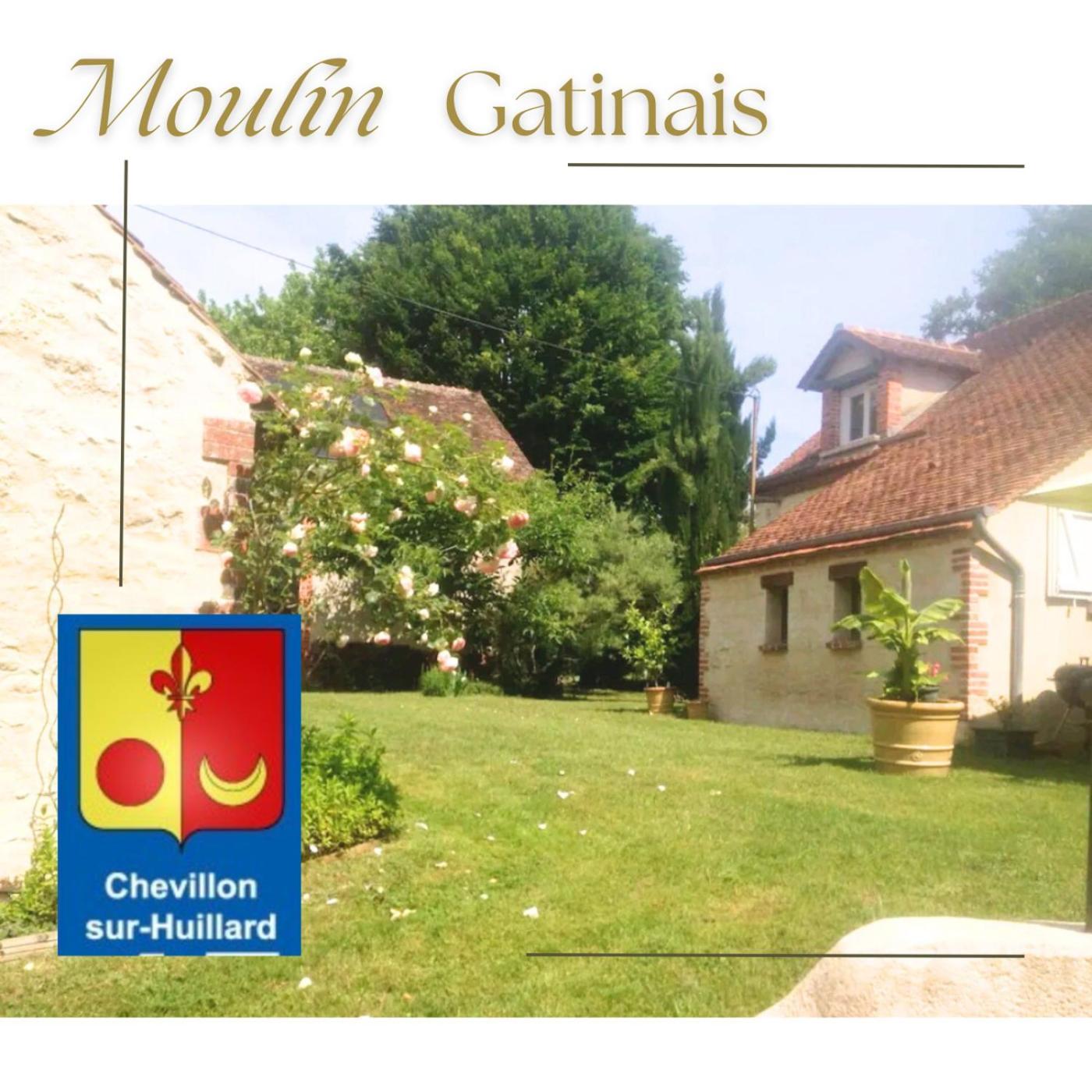Moulin En Bord De Riviere - Logement Atypique Chevillon-sur-Huillard Exterior photo